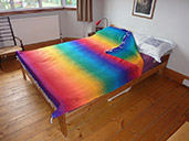 Rainbow Saltillo