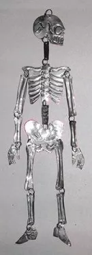 Silver Tin Skeleton