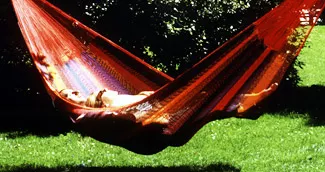 garden hammock - click here to visit the hammock page!