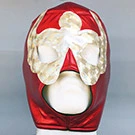 Mexican wrestling mask LLM430-2-6
