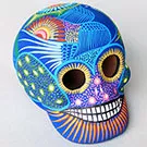 Skull SKLC876