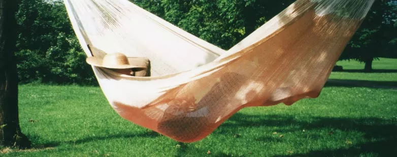 Hammock in the garden